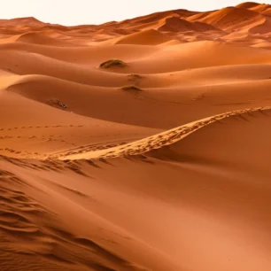 Desert Sahara