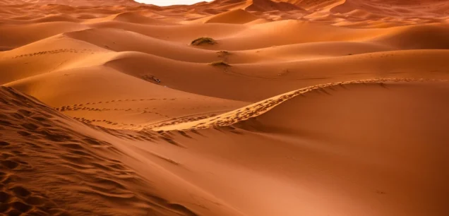 Desert Sahara