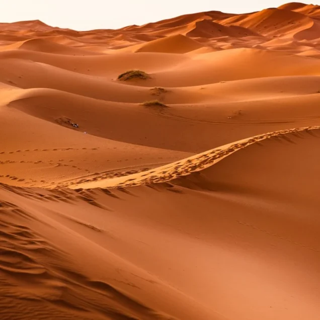 Desert Sahara